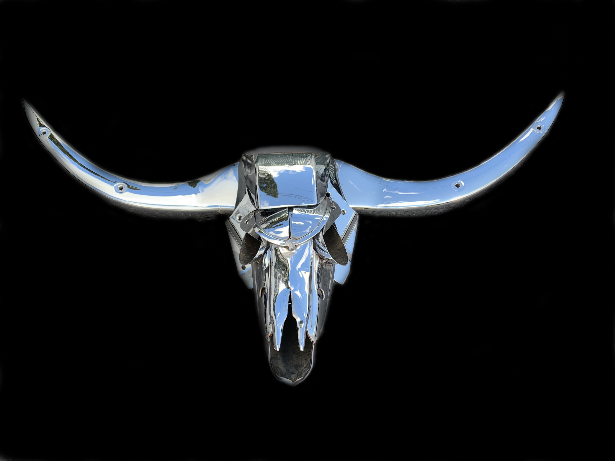 "Buchis the Bull" - found object and welded steel sculpture by Jud Turner, copyright 2020
